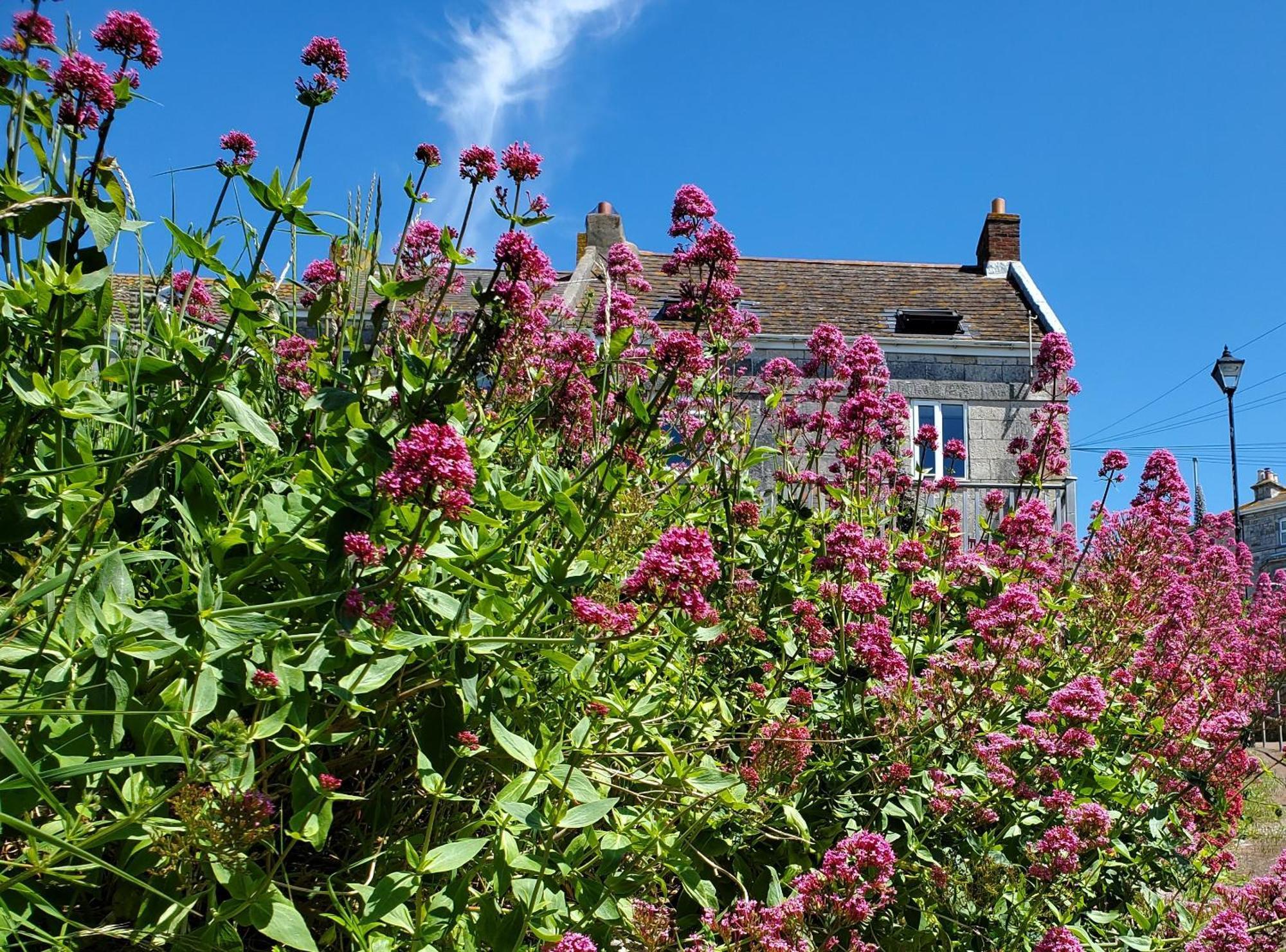 Sea View Cottage Портланд Екстериор снимка